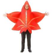 ヒメ日記 2025/10/02 11:00 投稿 のえる 奴隷コレクション