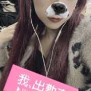 ヒメ日記 2025/10/10 15:06 投稿 のえる 奴隷コレクション