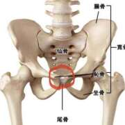 ヒメ日記 2025/10/13 11:01 投稿 のえる 奴隷コレクション