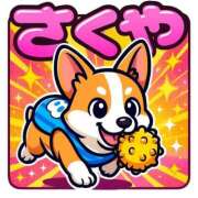 ヒメ日記 2025/10/20 03:14 投稿 のえる 奴隷コレクション