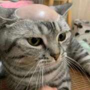 ヒメ日記 2025/10/20 10:00 投稿 のえる 奴隷コレクション