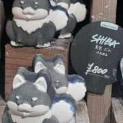 ヒメ日記 2025/10/20 23:48 投稿 のえる 奴隷コレクション