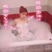 ヒメ日記 2025/10/23 20:12 投稿 のえる 奴隷コレクション