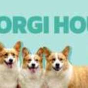 ヒメ日記 2025/10/26 06:00 投稿 のえる 奴隷コレクション