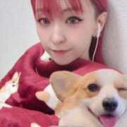 ヒメ日記 2025/11/02 12:01 投稿 のえる 奴隷コレクション