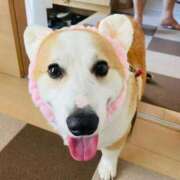 ヒメ日記 2025/11/04 23:15 投稿 のえる 奴隷コレクション