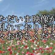 ヒメ日記 2025/11/25 14:17 投稿 のえる 奴隷コレクション