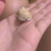 ヒメ日記 2025/11/30 23:04 投稿 のえる 奴隷コレクション