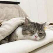 ヒメ日記 2025/12/02 09:00 投稿 のえる 奴隷コレクション