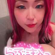 ヒメ日記 2025/12/08 02:44 投稿 のえる 奴隷コレクション