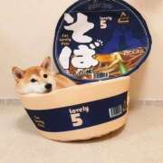 ヒメ日記 2025/12/10 06:00 投稿 のえる 奴隷コレクション