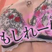 ヒメ日記 2025/12/11 07:15 投稿 のえる 奴隷コレクション