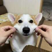 ヒメ日記 2025/12/12 13:00 投稿 のえる 奴隷コレクション