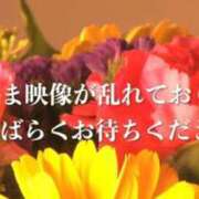 のえる 明日も頑張ります🇯🇵 奴隷コレクション