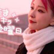 ヒメ日記 2025/12/19 09:01 投稿 のえる 奴隷コレクション