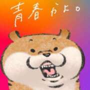 ヒメ日記 2025/12/19 13:00 投稿 のえる 奴隷コレクション