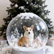 ヒメ日記 2025/12/24 11:00 投稿 のえる 奴隷コレクション