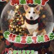 ヒメ日記 2025/12/25 12:15 投稿 のえる 奴隷コレクション