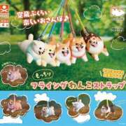 ヒメ日記 2025/12/25 19:31 投稿 のえる 奴隷コレクション