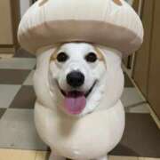 ヒメ日記 2025/12/31 12:02 投稿 のえる 奴隷コレクション