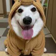 ヒメ日記 2026/01/01 11:00 投稿 のえる 奴隷コレクション