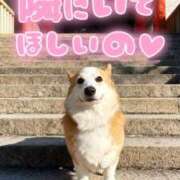 ヒメ日記 2026/01/02 12:01 投稿 のえる 奴隷コレクション