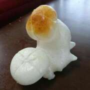 ヒメ日記 2026/01/04 11:00 投稿 のえる 奴隷コレクション