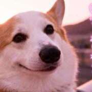 ヒメ日記 2026/01/07 06:19 投稿 のえる 奴隷コレクション