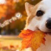 ヒメ日記 2026/01/07 09:01 投稿 のえる 奴隷コレクション