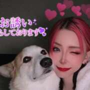 ヒメ日記 2026/01/08 08:01 投稿 のえる 奴隷コレクション