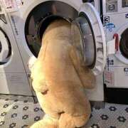 ヒメ日記 2026/01/13 11:00 投稿 のえる 奴隷コレクション