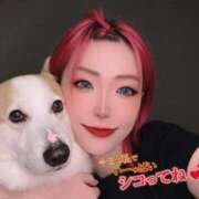 ヒメ日記 2026/01/19 10:01 投稿 のえる 奴隷コレクション