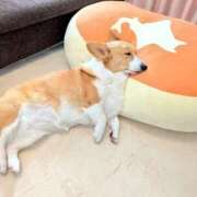 ヒメ日記 2026/01/27 18:00 投稿 のえる 奴隷コレクション