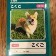 ヒメ日記 2026/02/03 09:01 投稿 のえる 奴隷コレクション