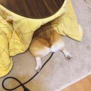 ヒメ日記 2026/02/05 15:00 投稿 のえる 奴隷コレクション