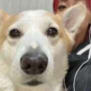 ヒメ日記 2026/02/08 22:01 投稿 のえる 奴隷コレクション