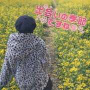 ヒメ日記 2026/04/07 13:27 投稿 のえる 奴隷コレクション