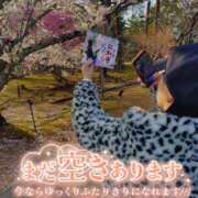ヒメ日記 2026/04/15 18:38 投稿 のえる 奴隷コレクション