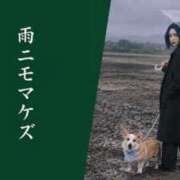 ヒメ日記 2026/06/02 14:36 投稿 のえる 奴隷コレクション