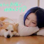 ヒメ日記 2026/06/04 04:49 投稿 のえる 奴隷コレクション