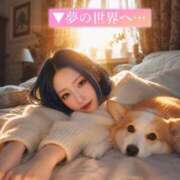 ヒメ日記 2026/06/08 05:14 投稿 のえる 奴隷コレクション