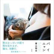 ヒメ日記 2026/06/19 19:54 投稿 のえる 奴隷コレクション