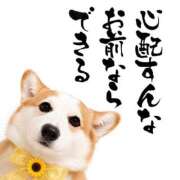ヒメ日記 2026/08/04 23:02 投稿 のえる 奴隷コレクション