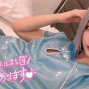 ヒメ日記 2026/08/19 14:00 投稿 のえる 奴隷コレクション
