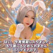 ヒメ日記 2026/08/20 16:00 投稿 のえる 奴隷コレクション