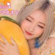 ヒメ日記 2026/09/08 21:05 投稿 のえる 奴隷コレクション