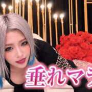 ヒメ日記 2026/09/10 22:00 投稿 のえる 奴隷コレクション