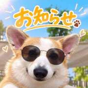 ヒメ日記 2026/10/03 16:00 投稿 のえる 奴隷コレクション