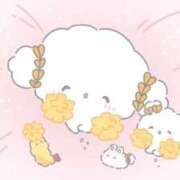 ヒメ日記 2026/04/16 09:35 投稿 なの 丸の内