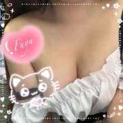 ヒメ日記 2025/12/10 14:05 投稿 ふゆ 丸の内